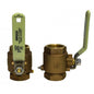 GROCO 2-1/2" NPT Bronze Inline Valve [IBV-2500]